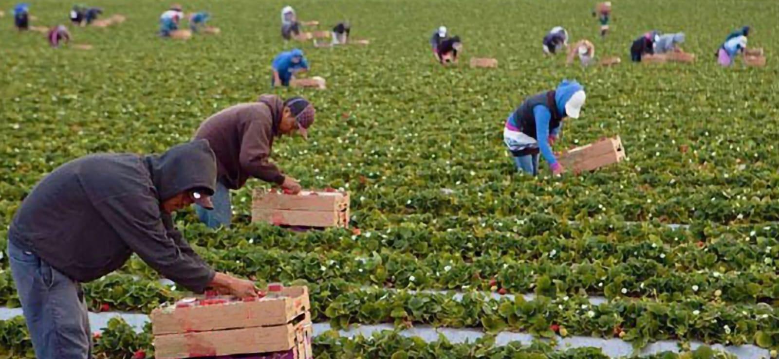 LA EMPRESA “EL MILAGRO DE BAJA” BUSCA ACUERDOS LABORALES SOSTENIBLES