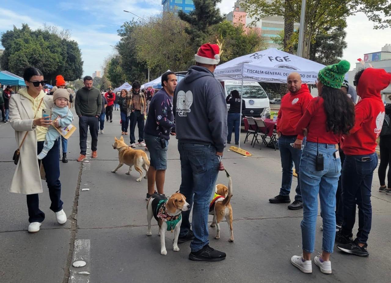 Prepara XXV Ayuntamiento de Tijuana la Tercera Feria de Bienestar Animal