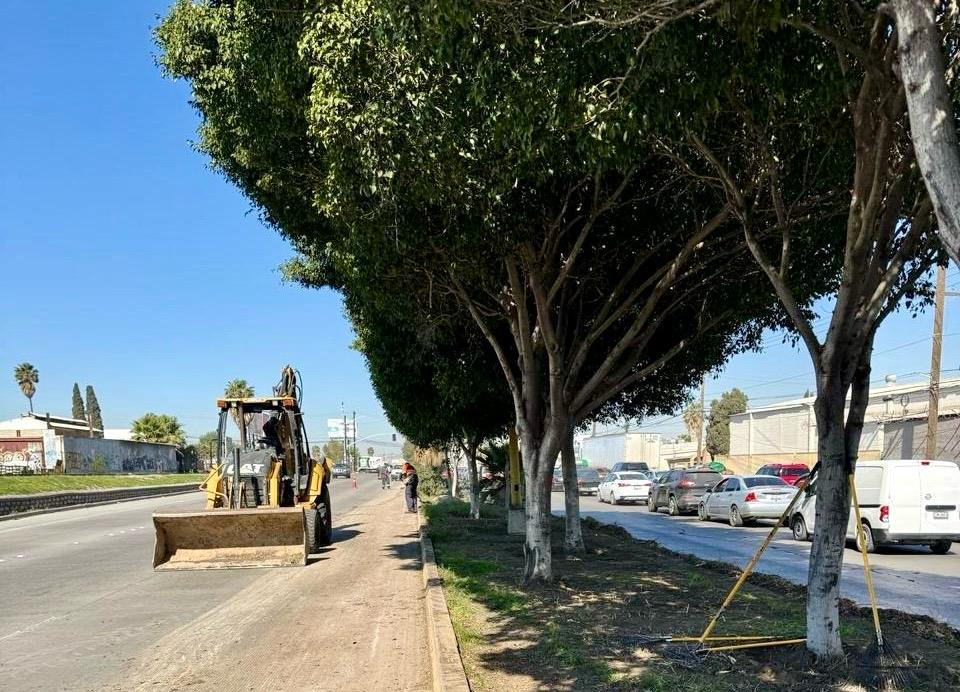 Retira XXV Ayuntamiento de Tijuana cerca de 12 toneladas de basura durante jornadas de limpieza