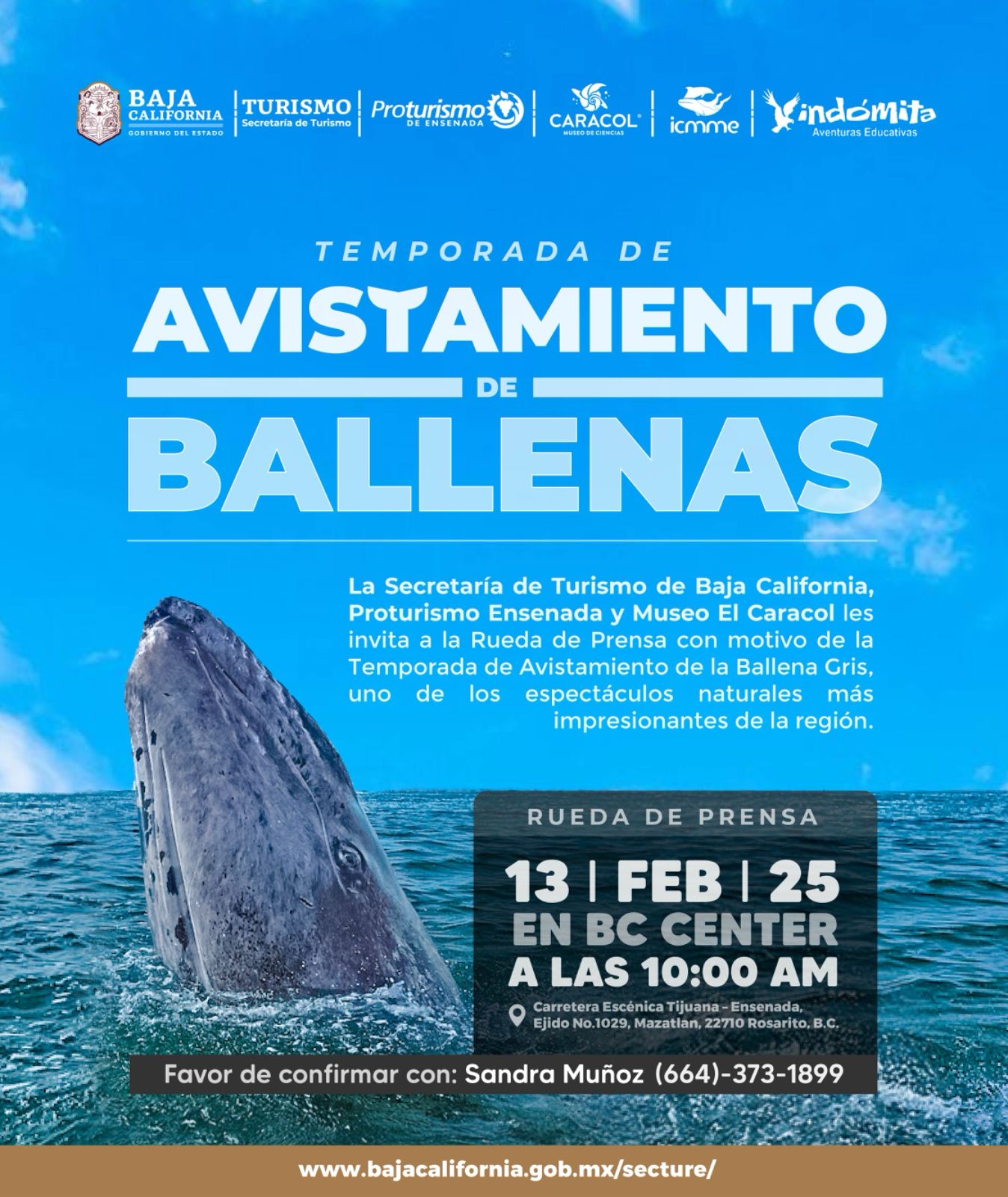 ES TEMPORADA DE AVISTAMIENTO DE BALLENAS EN BAJA CALIFORNIA, SE AMPLIARÁ LA INFORMACIÓN SOBRE LOS VIAJES EN  RUEDA DE PRENSA