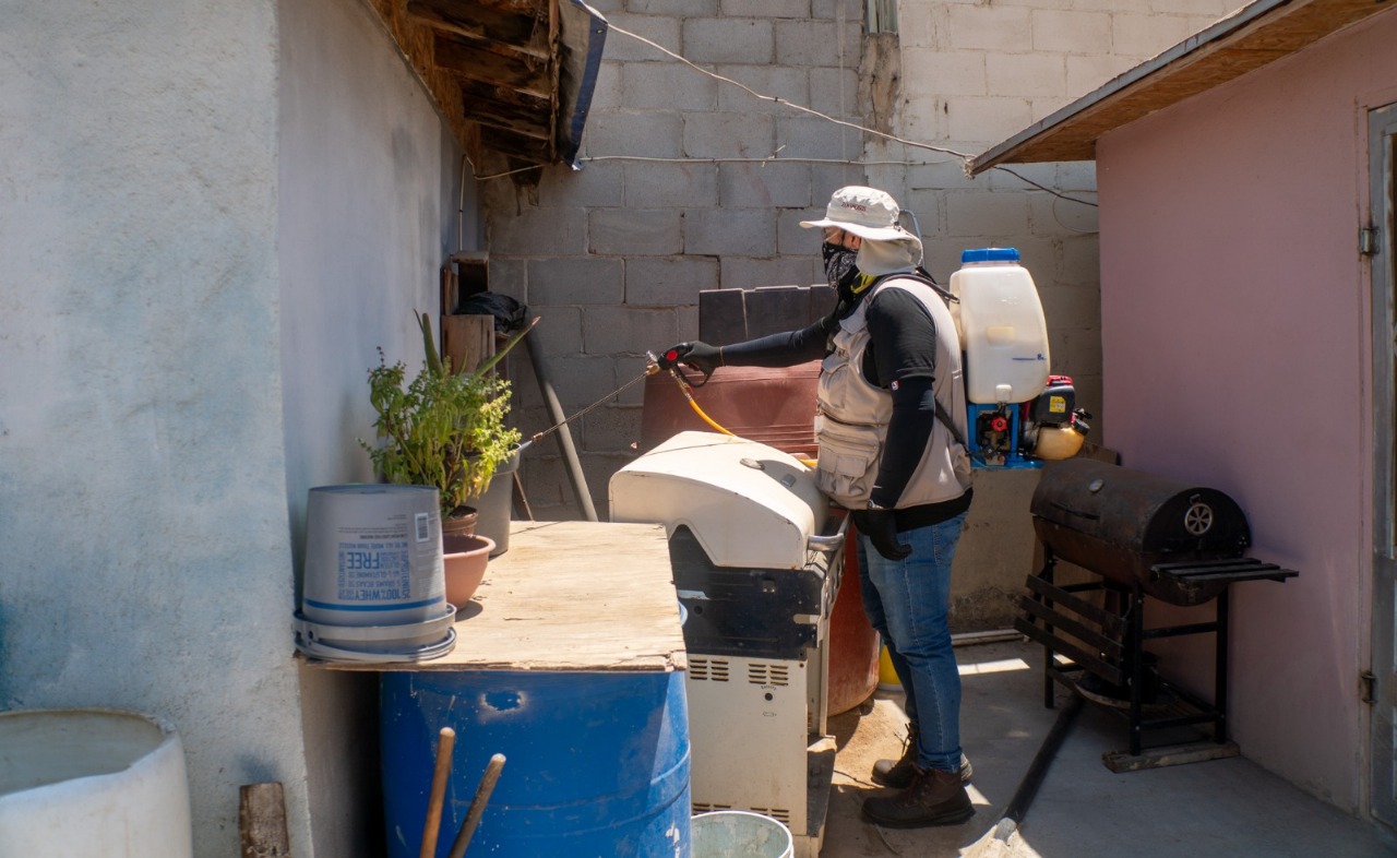 LLAMAN A MANTENER CASA Y MASCOTAS LIMPIAS CONTRA RICKETTSIA