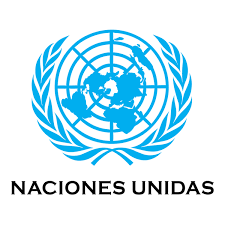 ONU-DH alienta a los poderes judiciales a garantizar los derechos de las víctimas de tortura