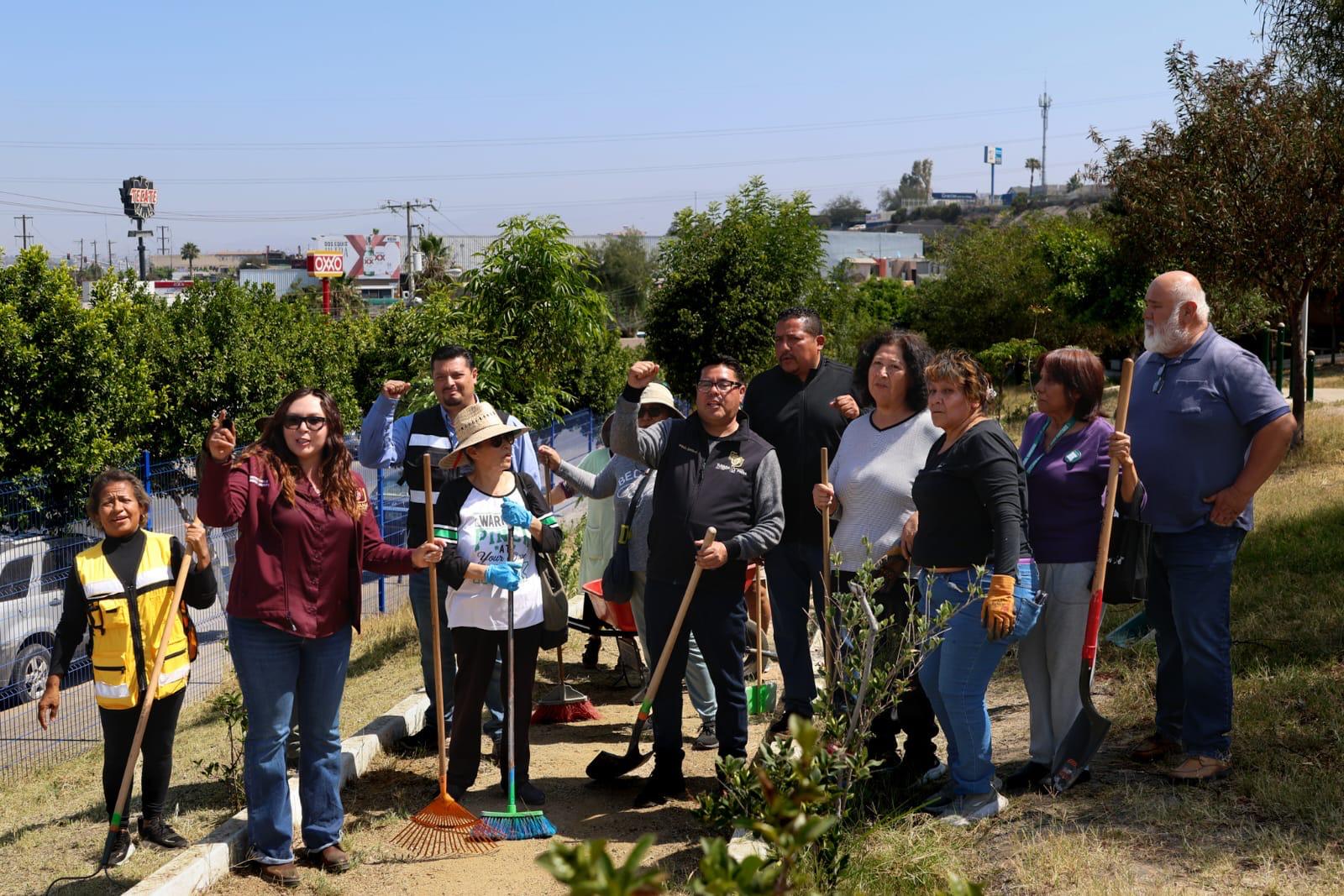 Impulsa Gobierno Municipal con ‘Tijuana: Ciudad Limpia´ el mantenimiento de parques públicos, conservación de áreas verdes y pavimentación