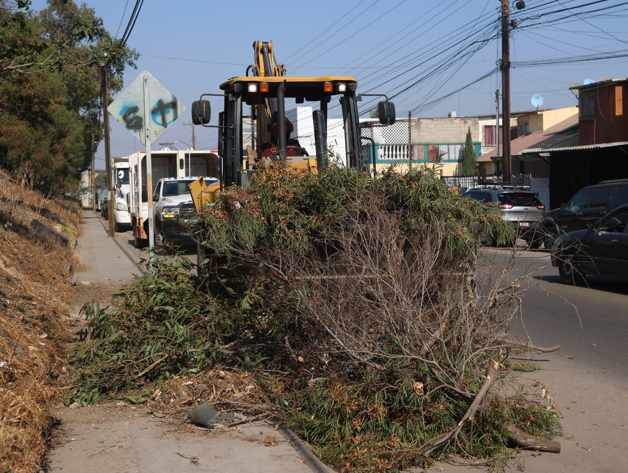 Avanza ‘Tijuana, Ciudad Limpia’ con acciones simultáneas en tres delegaciones