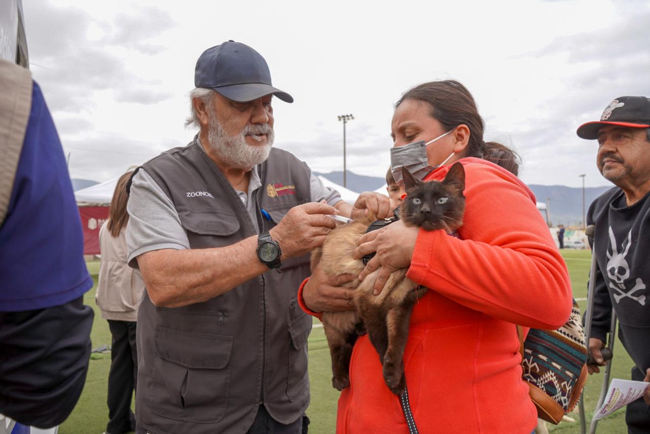 REFUERZAN ACCIONES CONTRA RICKETTSIOSIS EN TIJUANA