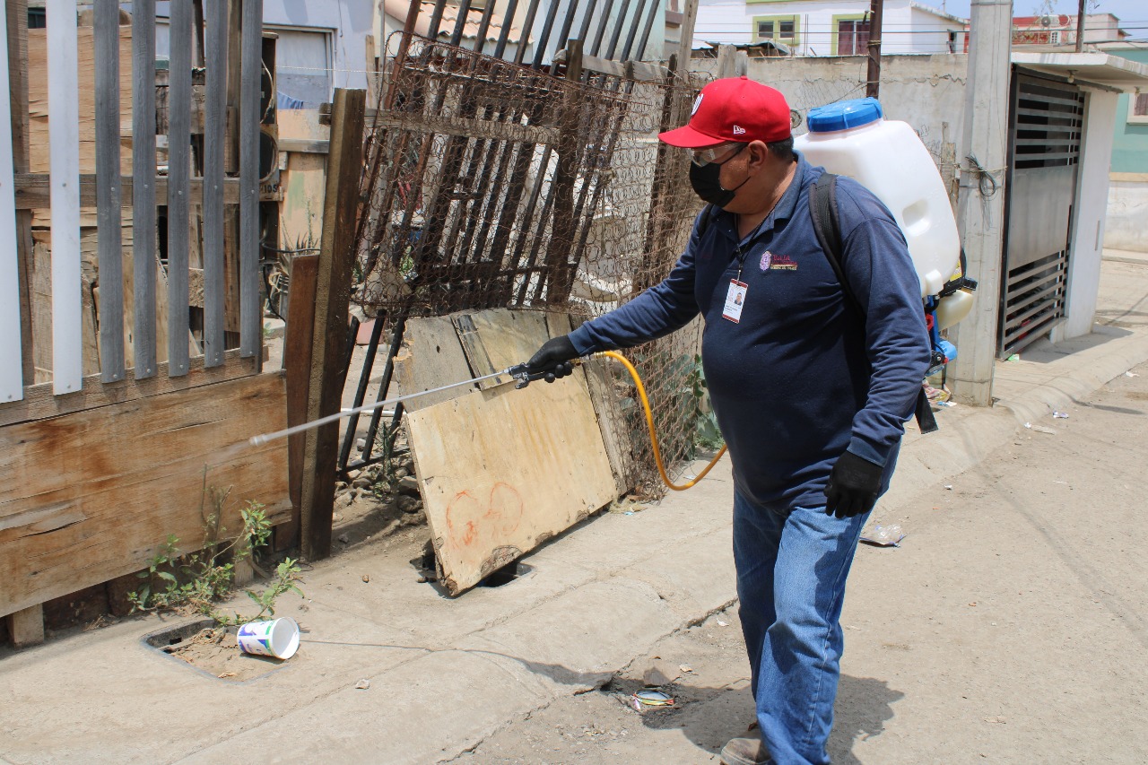 FUMIGAN CONTRA GARRAPATA EN COLONIAS VULNERABLES DE TIJUANA