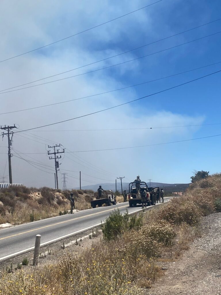 ATIENDEN BOMBEROS Y SEDENA INCENDIO EN ZONA RURAL
