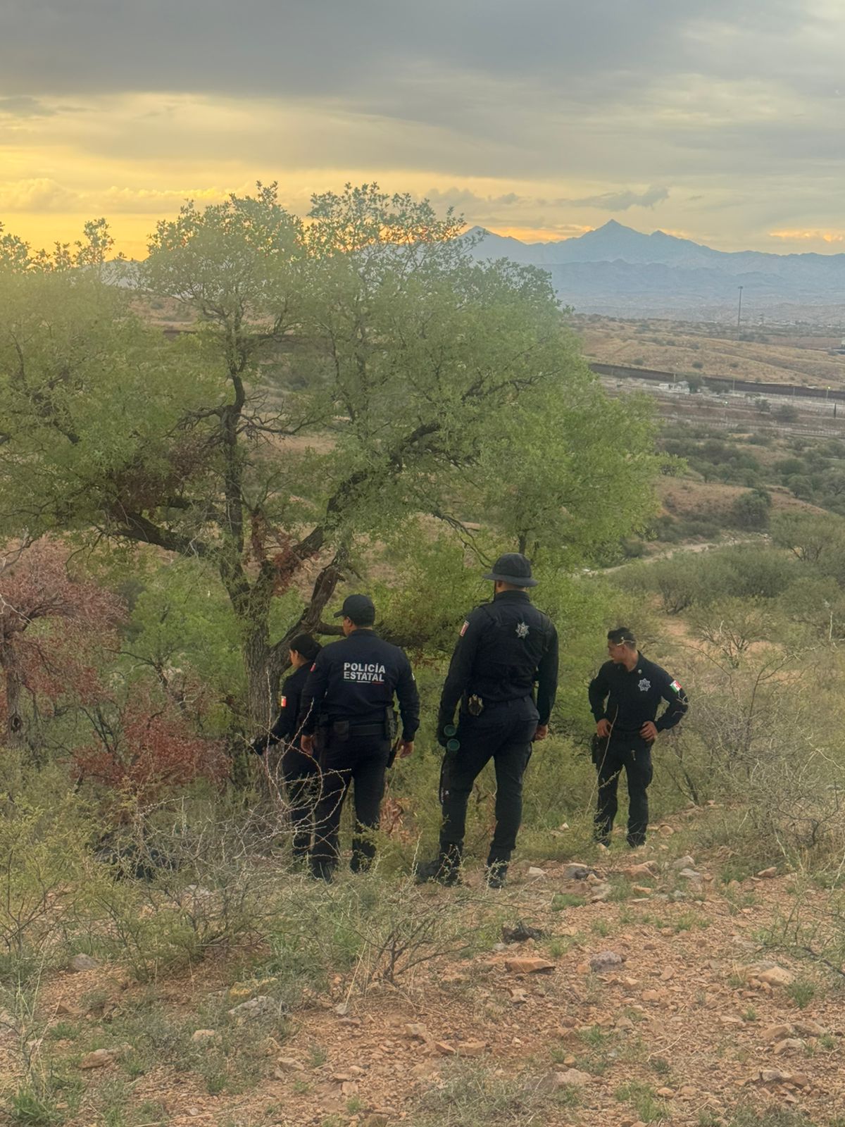 Inhabilita Gobierno de Sonora puntos de vigilancia clandestinos en zona fronteriza
