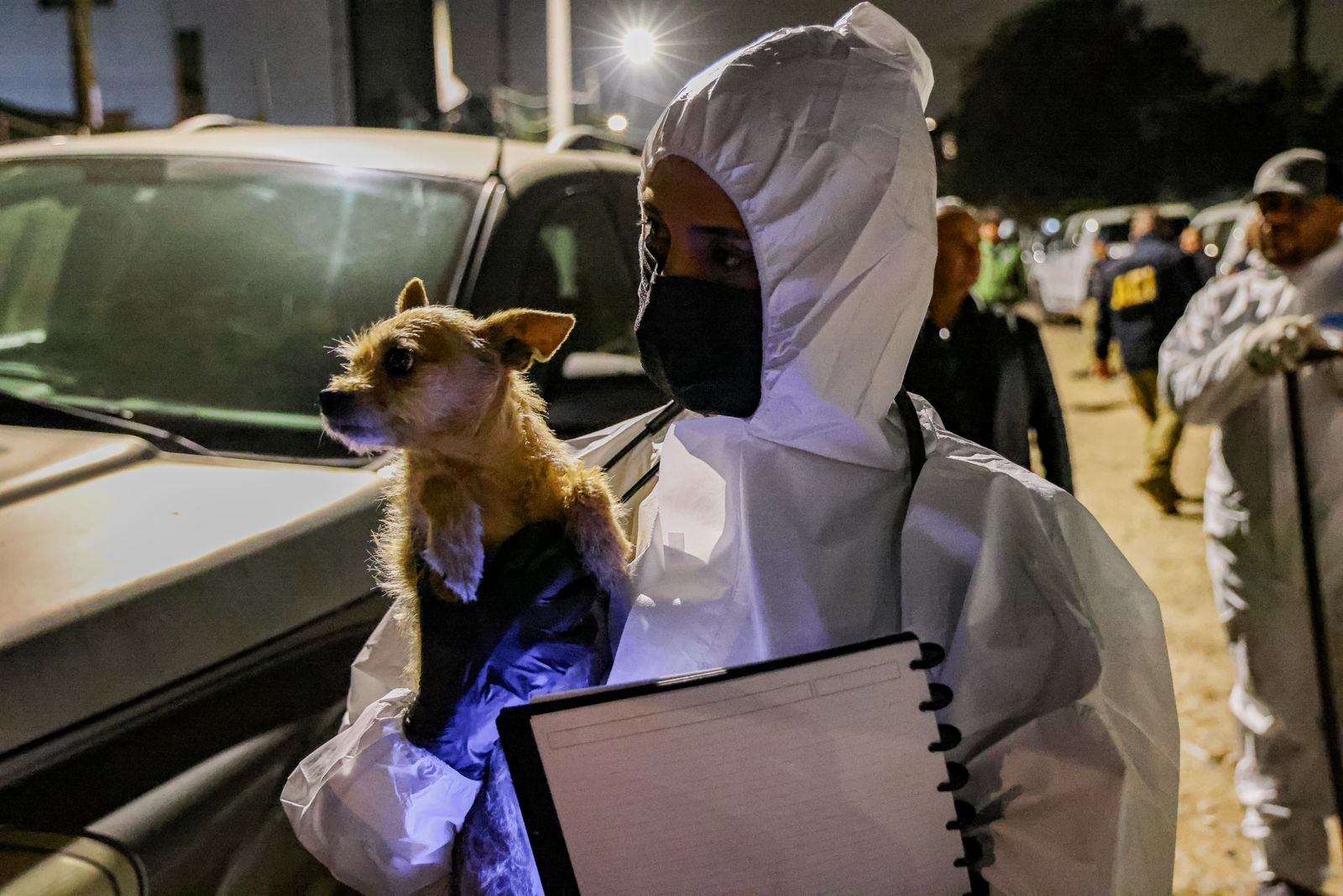 *GOBIERNO DE MARINA DEL PILAR MARCA RUTA PARA UNA POLÍTICA DE PROTECCIÓN ANIMAL EN BAJA CALIFORNIA