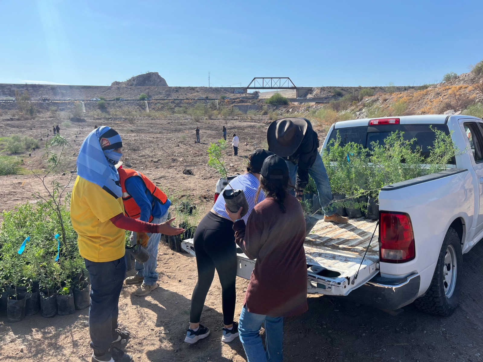 Inicia Gobierno de Sonora trabajos de reforestación en el polígono “La Oreja” del Bosque Urbano La Sauceda