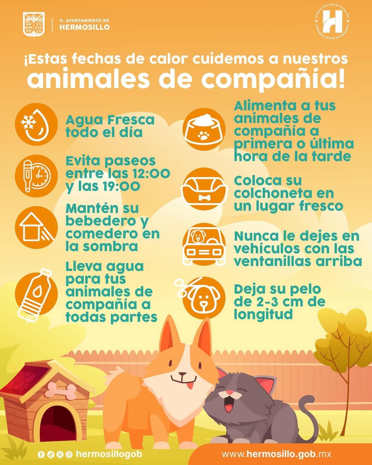 Recomienda IMPBA medidas para proteger a animales de compañía ante el calor