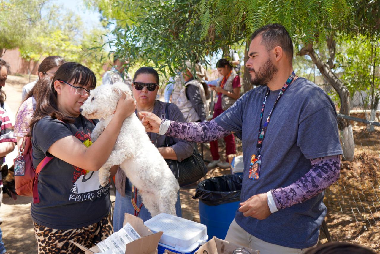REFUERZAN ACCIONES CONTRA RICKETTSIA EN VILLAS DEL CAMPO