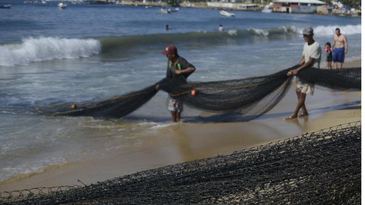 Anuncia AGRICULTURA periodos de veda y de aprovechamiento de especies marinas a partir de agosto