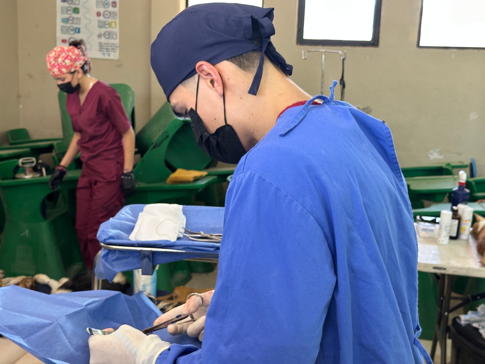 Brinda Gobierno de Sonora jornadas gratuitas de esterilización animal en Hermosillo