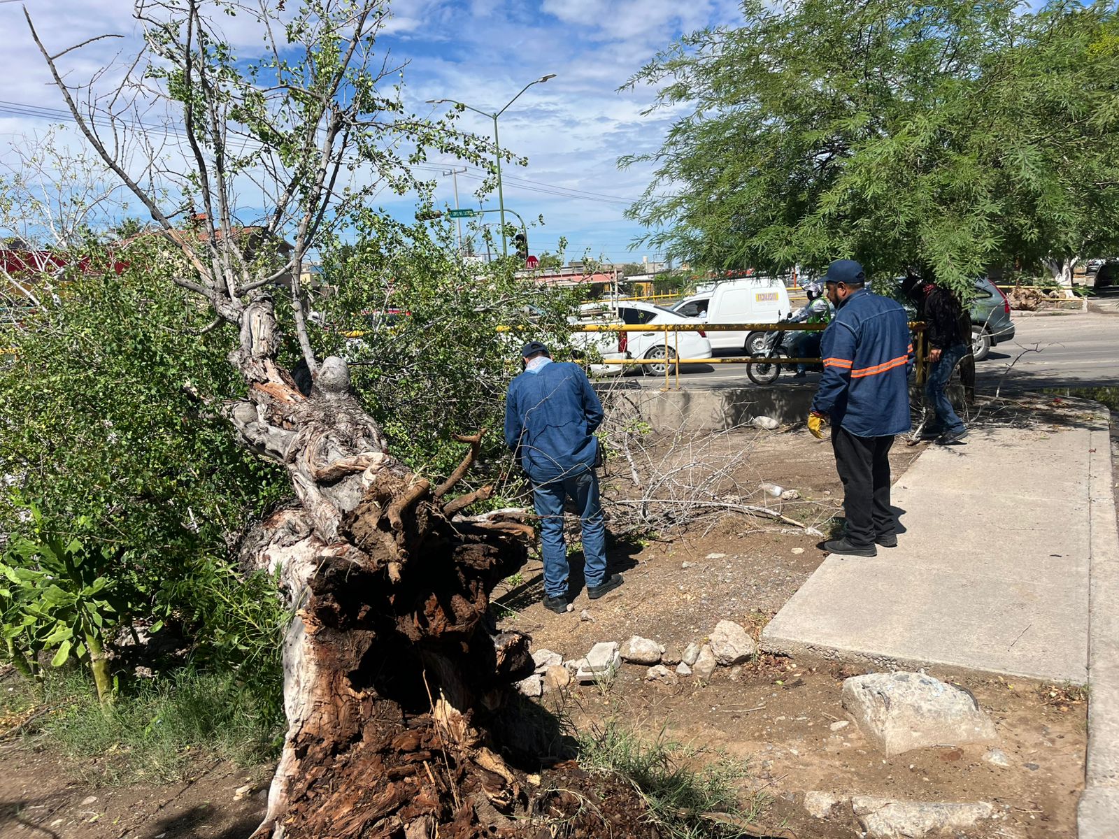 Mantiene Ayuntamiento de Hermosillo trabajos de limpieza en la ciudad por temporada de lluvias