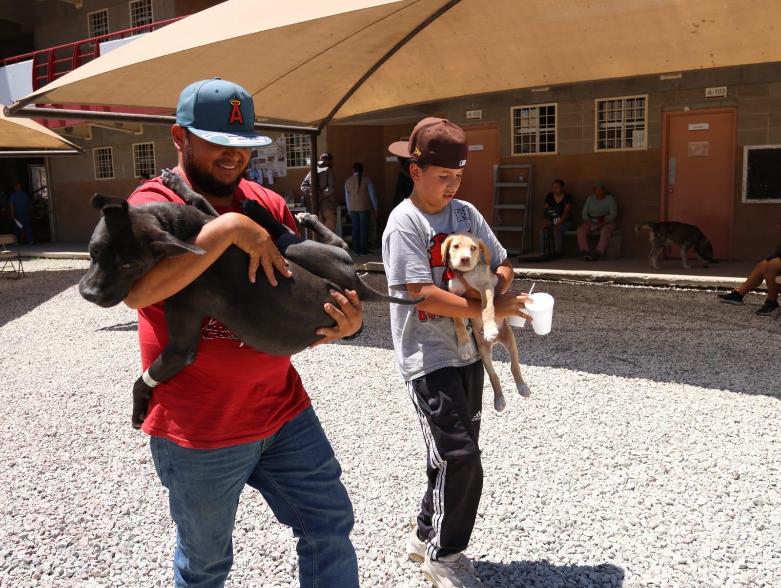 Atiende Gobierno Municipal más de 350 mascotas en Mega Jornada de Esterilización Canina y Felina