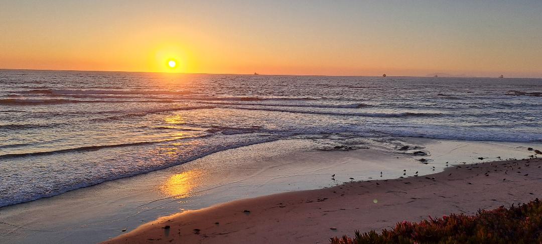 AGENDA DE LA ALCALDESA DE ROSARITO, ROCÍO ADAME, LIMPIAN LA PLAYA