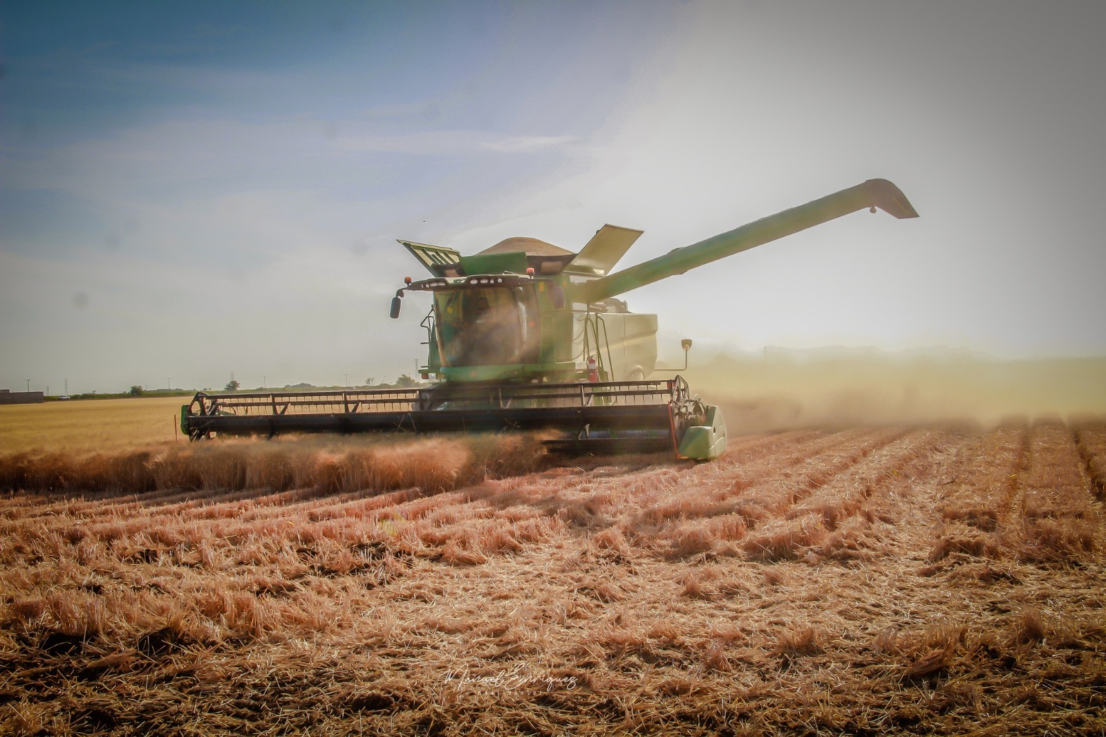 Impulsa Gobierno de Sonora apoyo emergente para productores de trigo cristalino