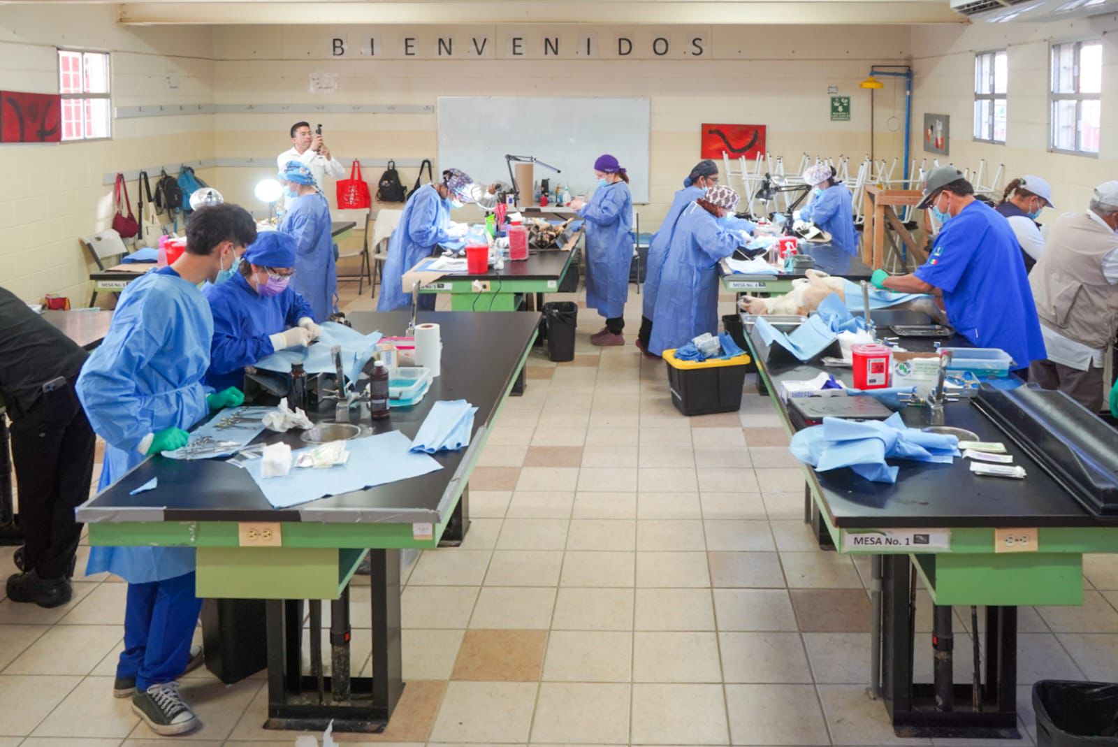 ESTERILIZAN A CERCA DE 500 MASCOTAS EN MEGA JORNADA EN LA COLONIA ” EL NIÑO”