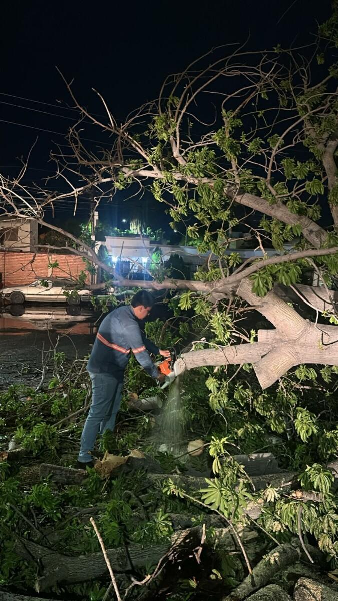 Atendió Gobierno de Hermosillo 55 reportes tras tormenta del sábado