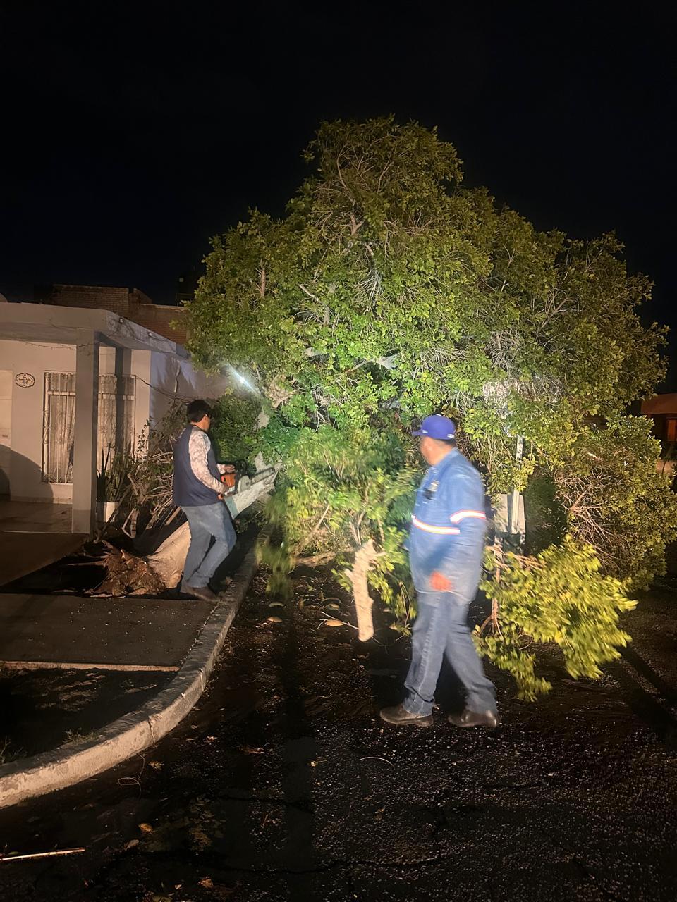 Atiendió Protección Civil Municipal 35 reportes por fuertes vientos en Hermosillo