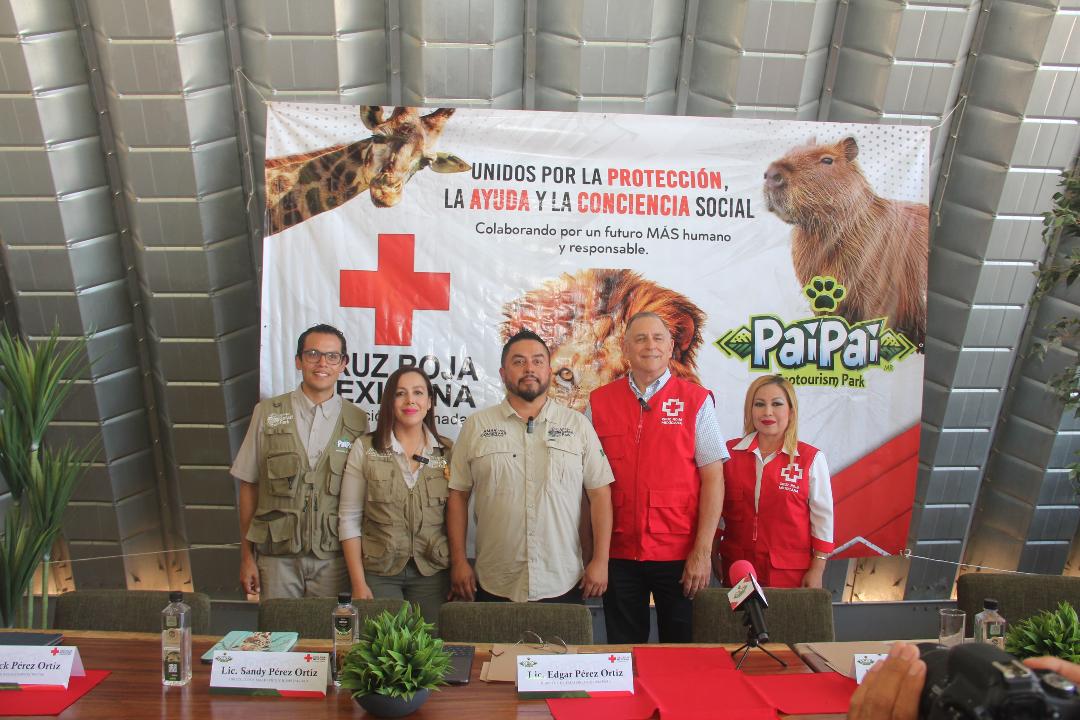 *Nace el Movimiento Red Viva con alianza entre PAI PAI y Cruz Roja*