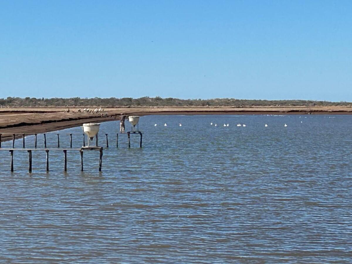 Gobierno de Sonora invita al Foro de Acuacultura Sonora 2025