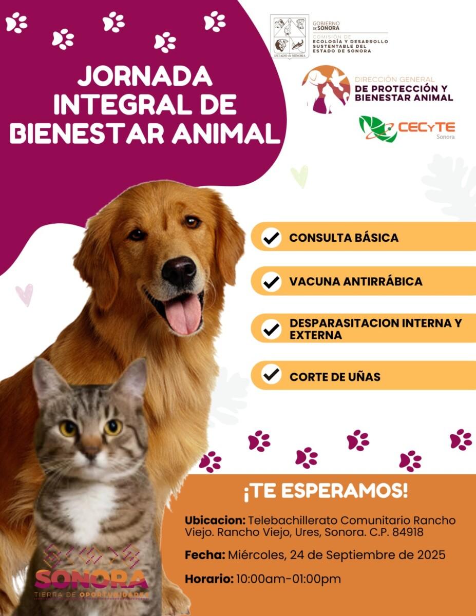 Continúa Gobierno de Hermosillo ofreciendo esterilizaciones gratuitas a caninos y felinos del 24 al 27 de septiembre