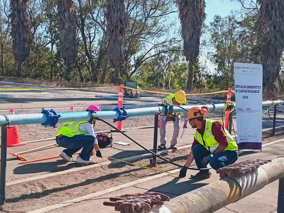 PRIMERA GENERACIÓN “CASCOS ROSAS” EN BAJA CALIFORNIA