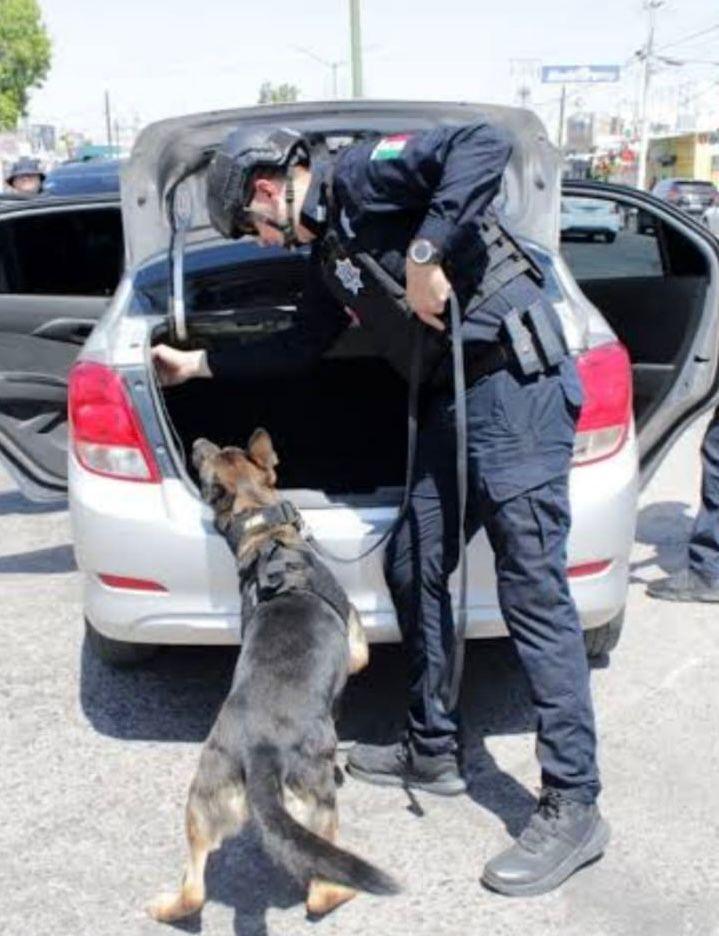 Cuenta Gobierno del Estado con Unidad Especializada K-9