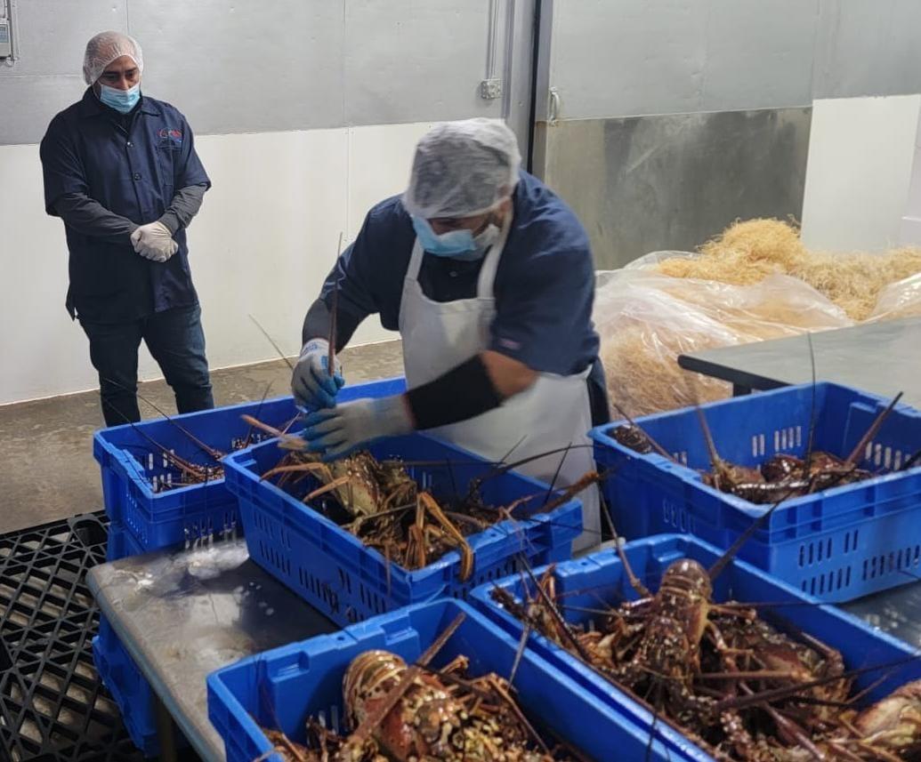 CAPACITACIÓN PARA LA OBTENCIÓN DE CERTIFICADOS DE EXPORTACIÓN A PRODUCTORES PESQUEROS