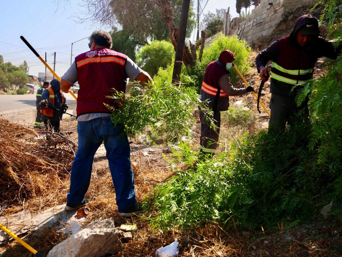 Refuerza Gobierno Municipal acciones de dignificación de entornos a través de ‘Tijuana: Ciudad Limpia’