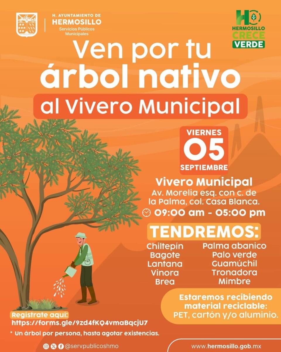 Realizará Gobierno Municipal una jornada más de donación de árboles nativos el próximo viernes