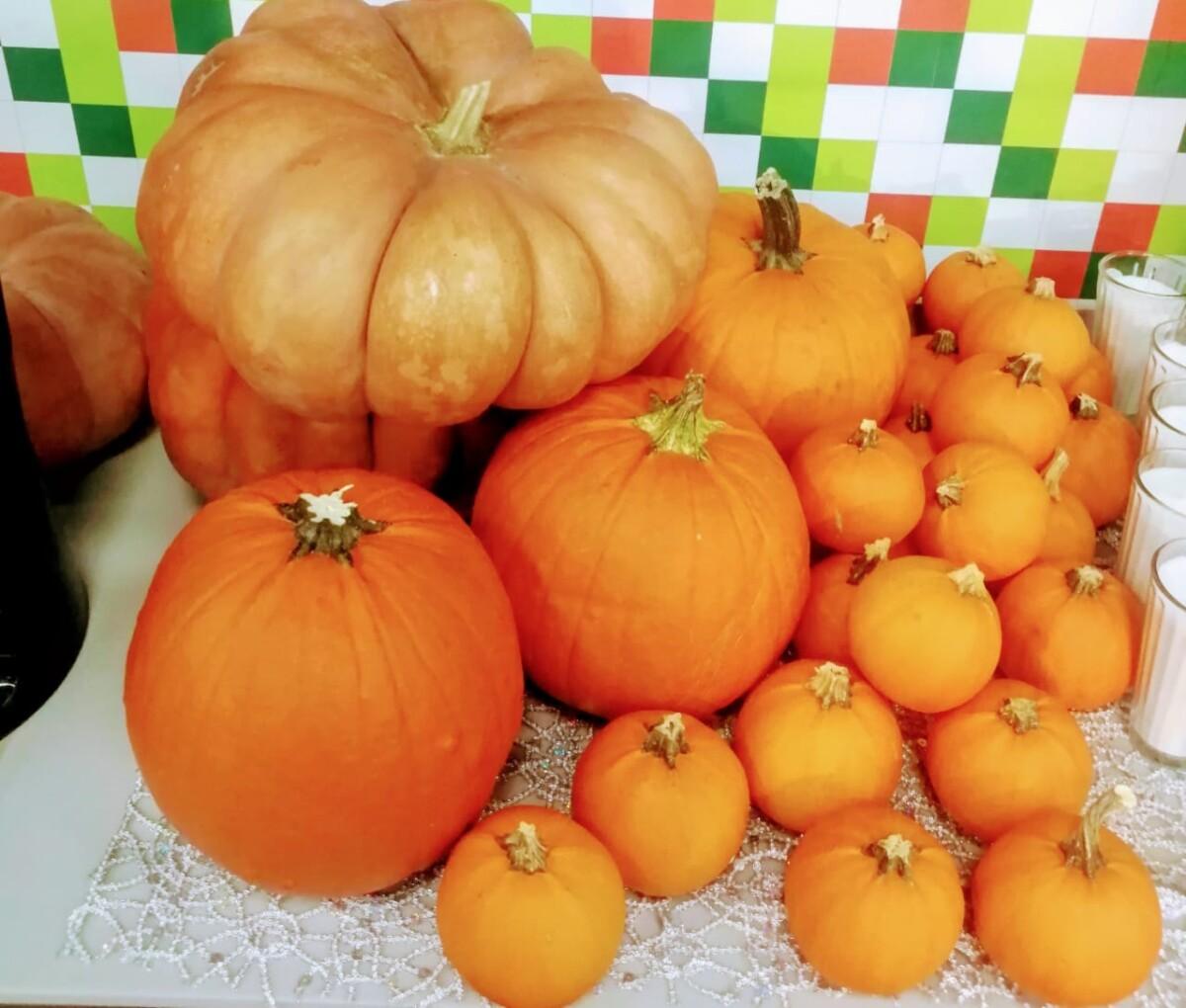 UNA DE LAS CARACTERÍSTICAS DEL OTOÑO ES EL COLOR NARANJA DE LOS ALIMENTOS Y LAS HOJAS DE LOS ÁRBOLES, LAS CALABAZAS SON ÚTILIZADAS EN ESTA ÉPOCA PARA DECORACIÓN