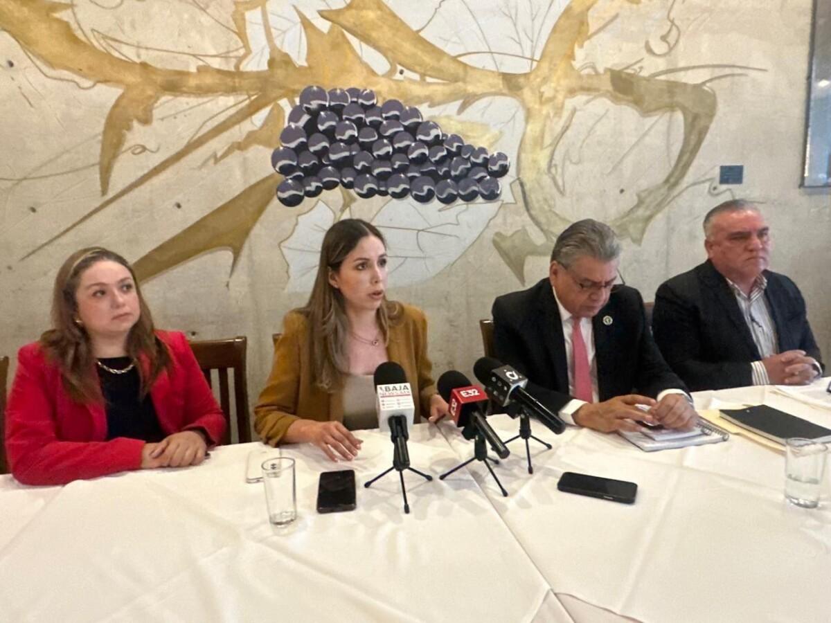 REFORMA A LA LEY DE AMPARO ATENTA CON LOS DERECHOS HUMANOS, ADVIERTEN COLEGIOS DE ABOGADOS