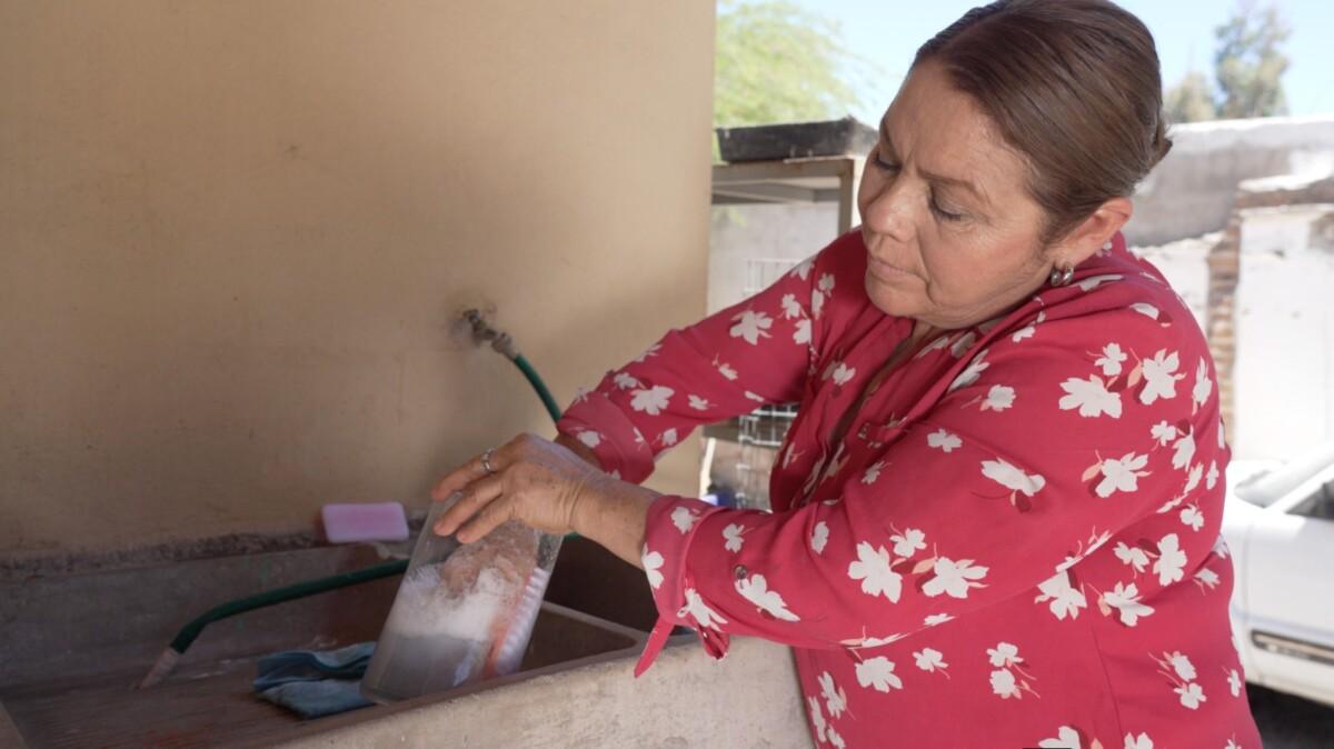 Exhorta Gobierno de Sonora a reforzar acciones sencillas para prevenir la proliferación del dengue