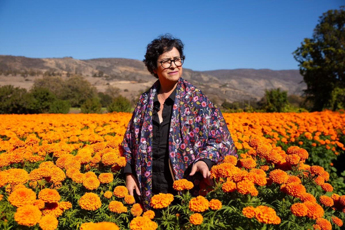 Rocío Adame impulsa las tradiciones de Rosarito con la visita a los campos de cempasúchil del Rancho Macías
