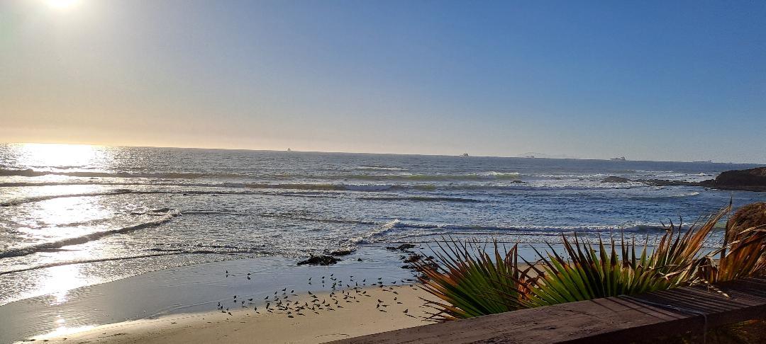 Proturismo llama a unificar narrativa del sector para fortalecer la percepción de Ensenada