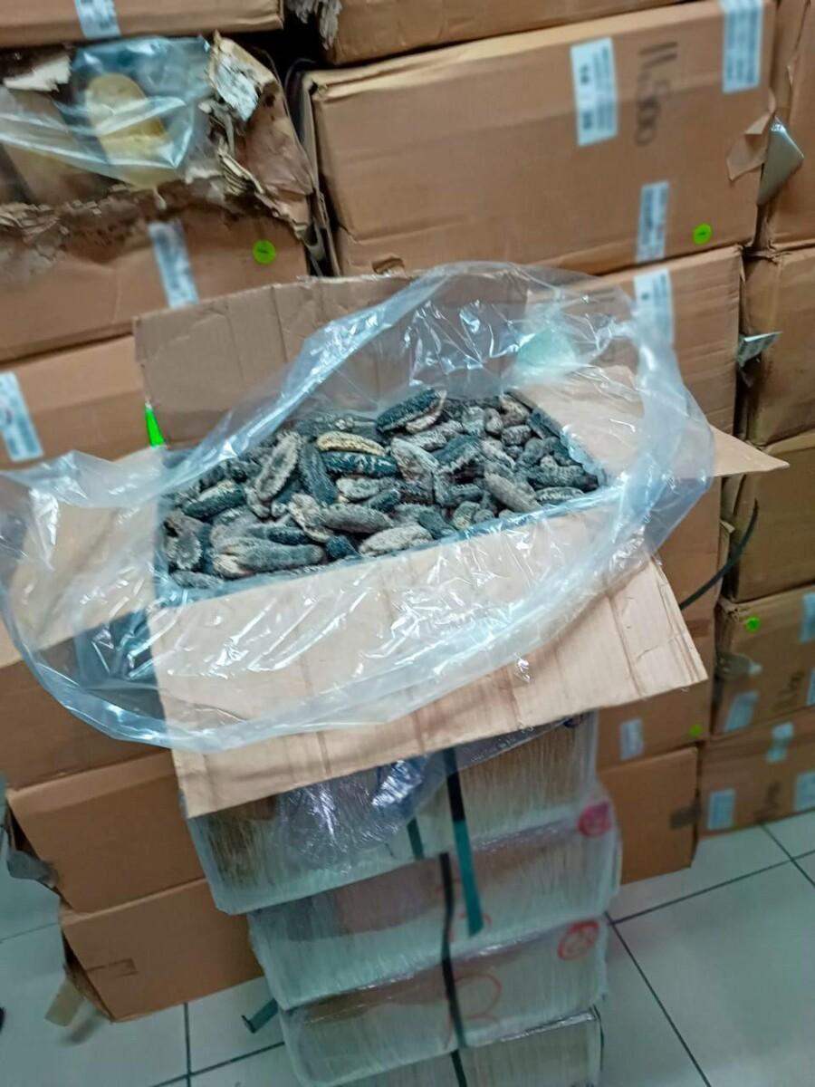 FGR OBTIENE VINCULACIÓN A PROCESO EN CONTRA DE TRES PERSONAS DEDICADAS AL TRÁFICO DE ESPECIES PROTEGIDAS