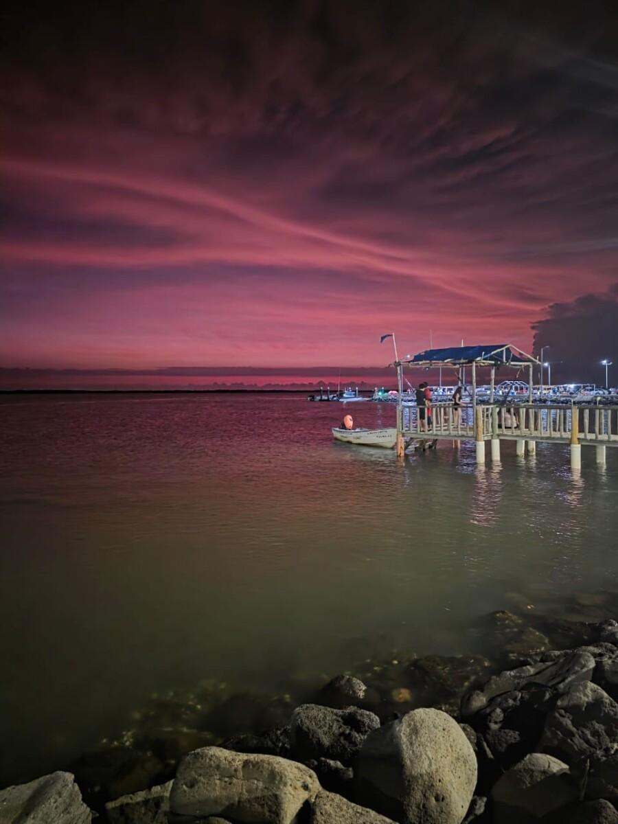 Alumnos de Cobach y Conalep Sonora destacan en concurso nacional de fotografía