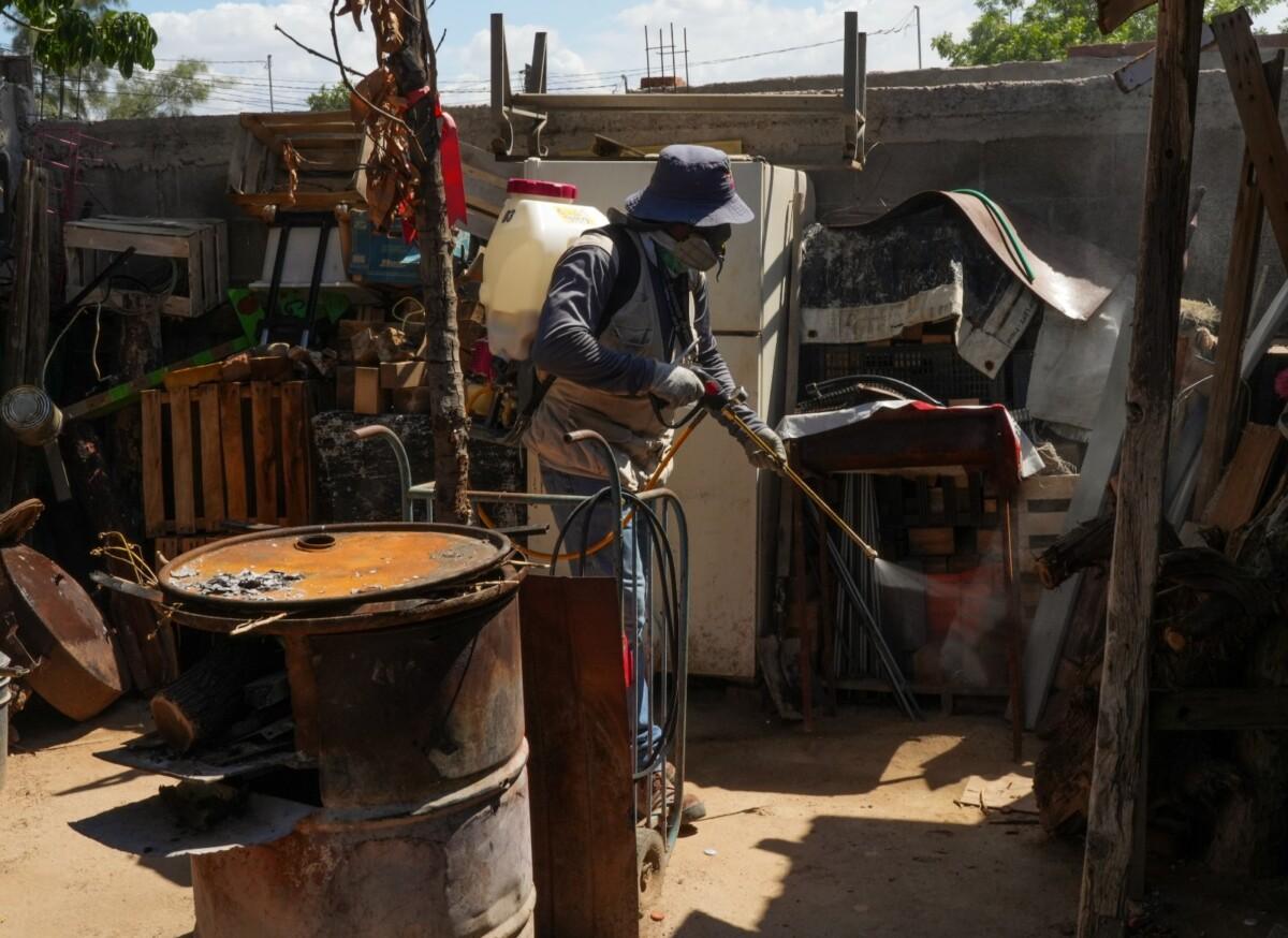 Gobierno de Sonora informa que no se han confirmado defunciones por dengue