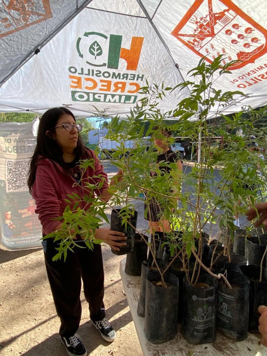 Celebran con éxito jornada 50 de donación de árboles nativos en Hermosillo