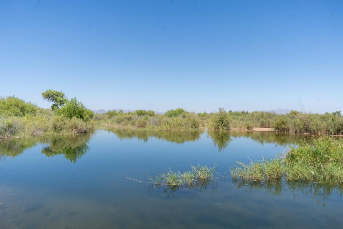 BAJA CALIFORNIA MANTIENE MÁS DE 35 AÑOS LIBRE DE TRANSMISIÓN LOCAL DE PALUDISMO