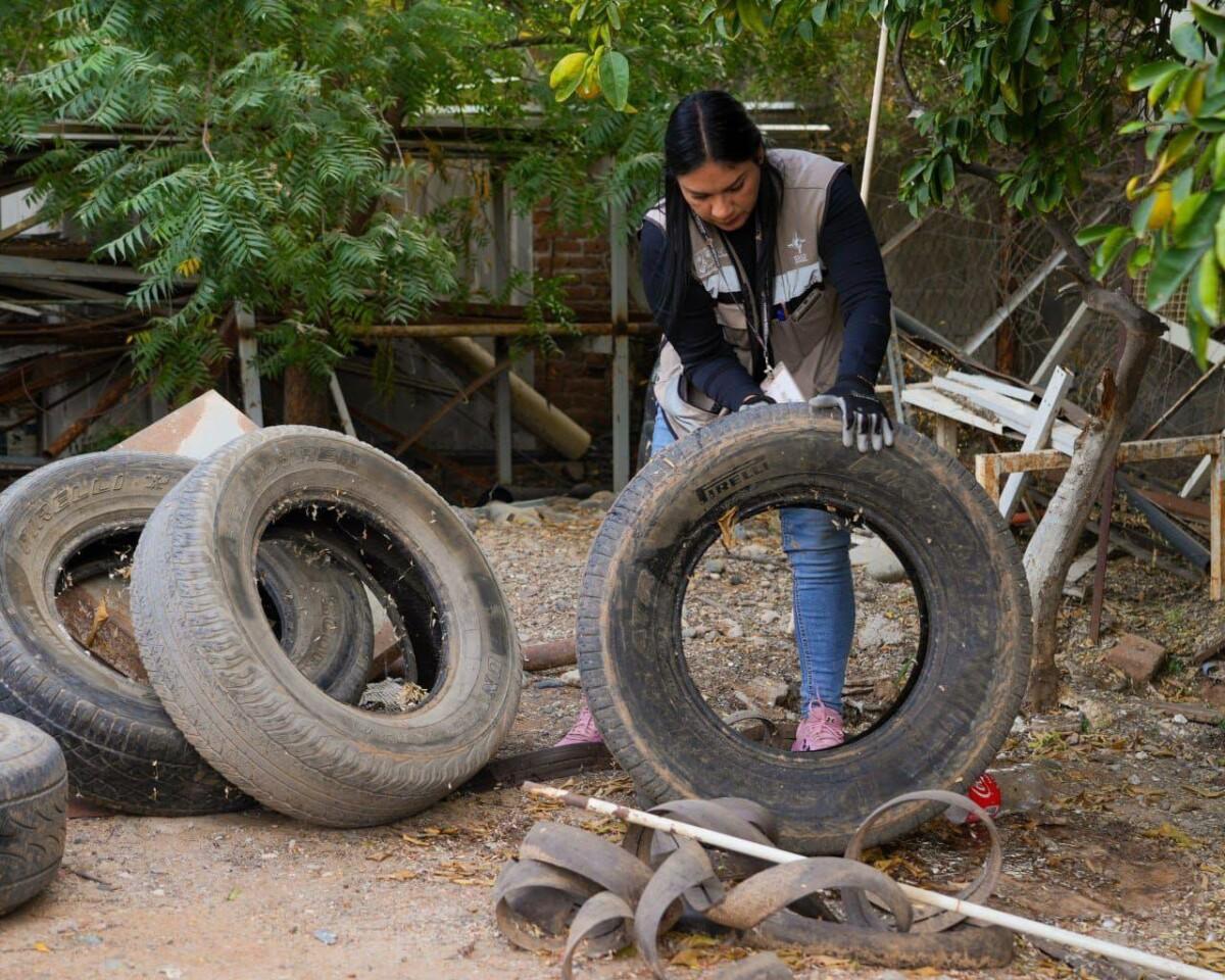Llama Secretaría de Salud a reforzar prevención contra el dengue ante llegada de clima frío