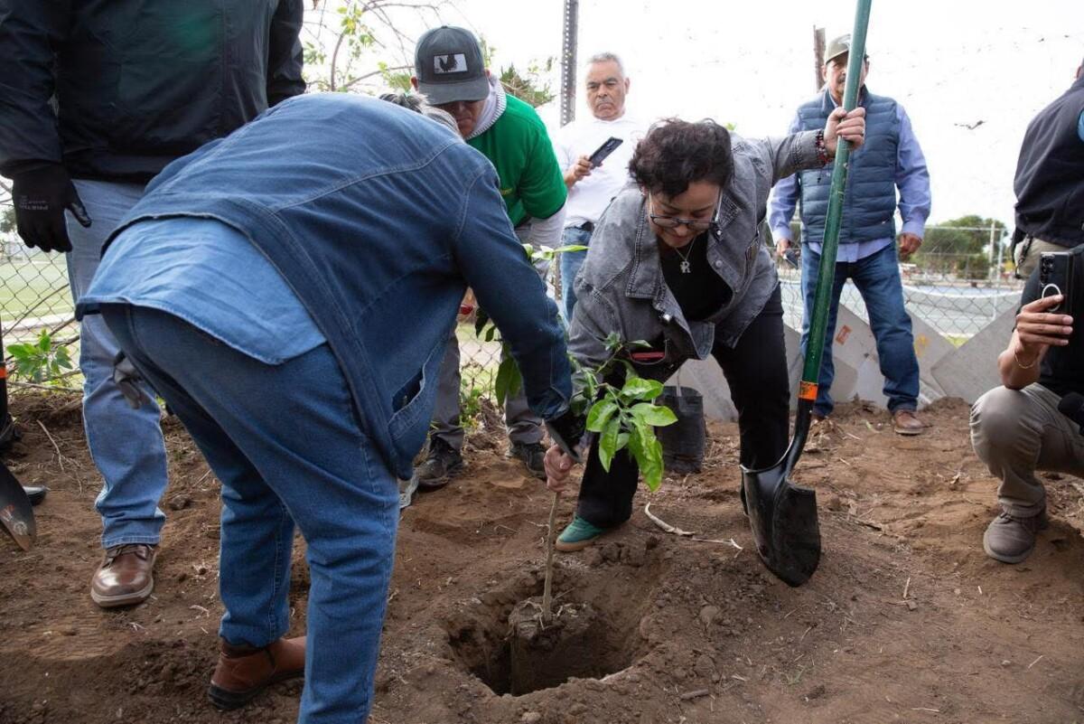 Playas de Rosarito consolida esfuerzos para enfrentar los retos ambientales del municipio