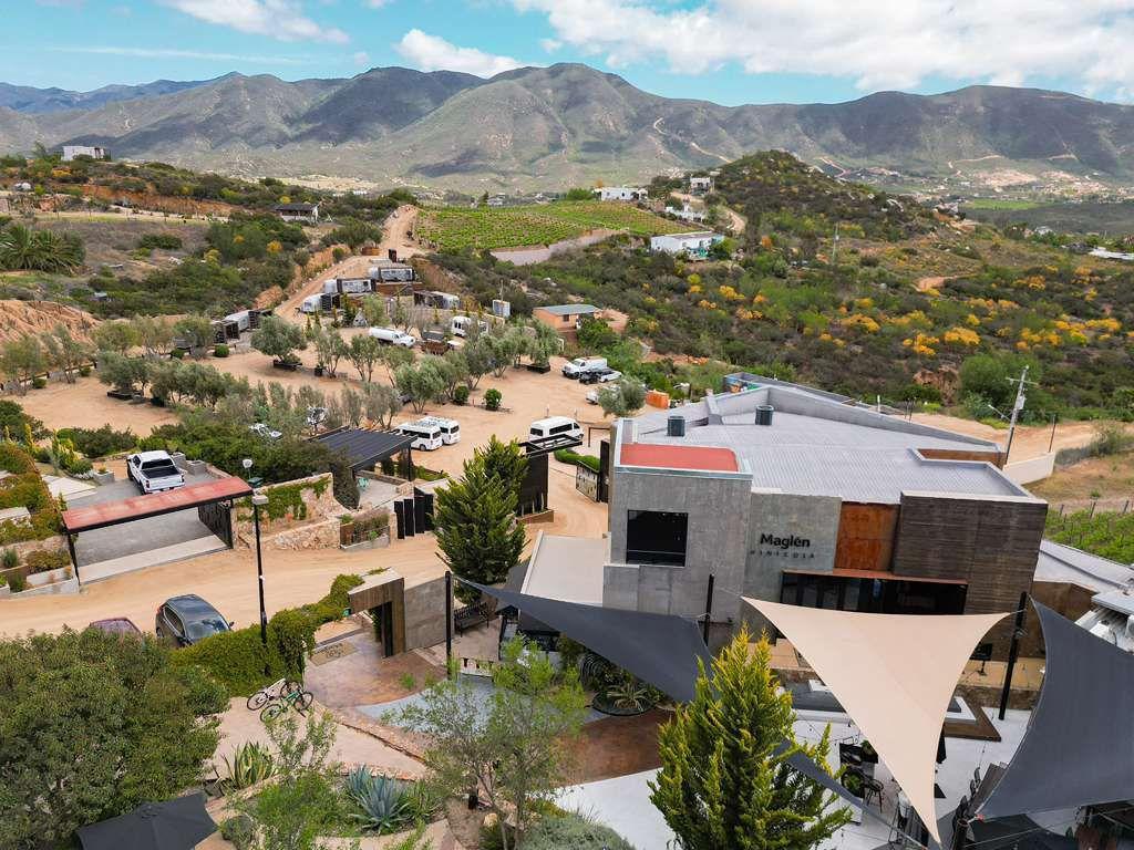 Consolidan vinos bajacalifornianos posicionamiento a nivel internacional en el “Global Wine 2025”