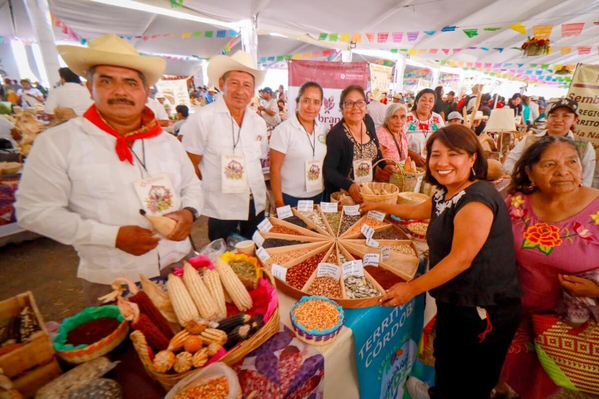 Oaxaca será uno de los primeros estados en iniciar, a partir de 2026, el programa nacional “El maíz es la raíz”, orientado a proteger la producción de maíces nativos y consolidar bancos comunitarios de semillas.