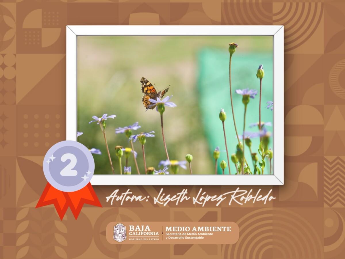 ESTUDIANTES DE COMUNICACIÓN DE LA UABC PARTICIPARON EN EL RALLY UNIVERSITARIO EN EL MARCO DE EXPO AMBIENTE, LA FOTO CORRESPONDE AL SEGUNDO LUGAR