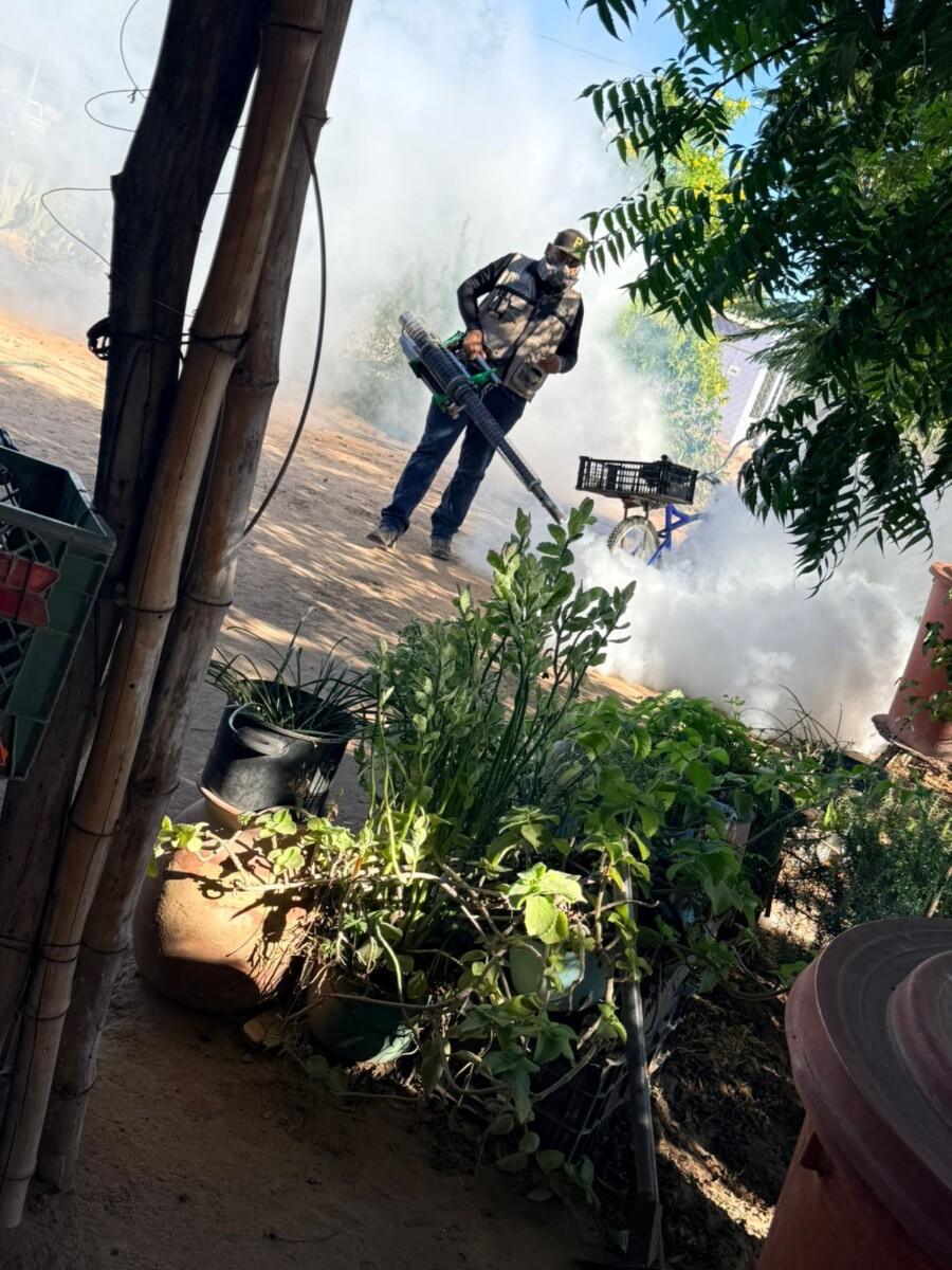 ntensifica Salud Sonora acciones contra dengue en Etchojoa, Guaymas y Empalme