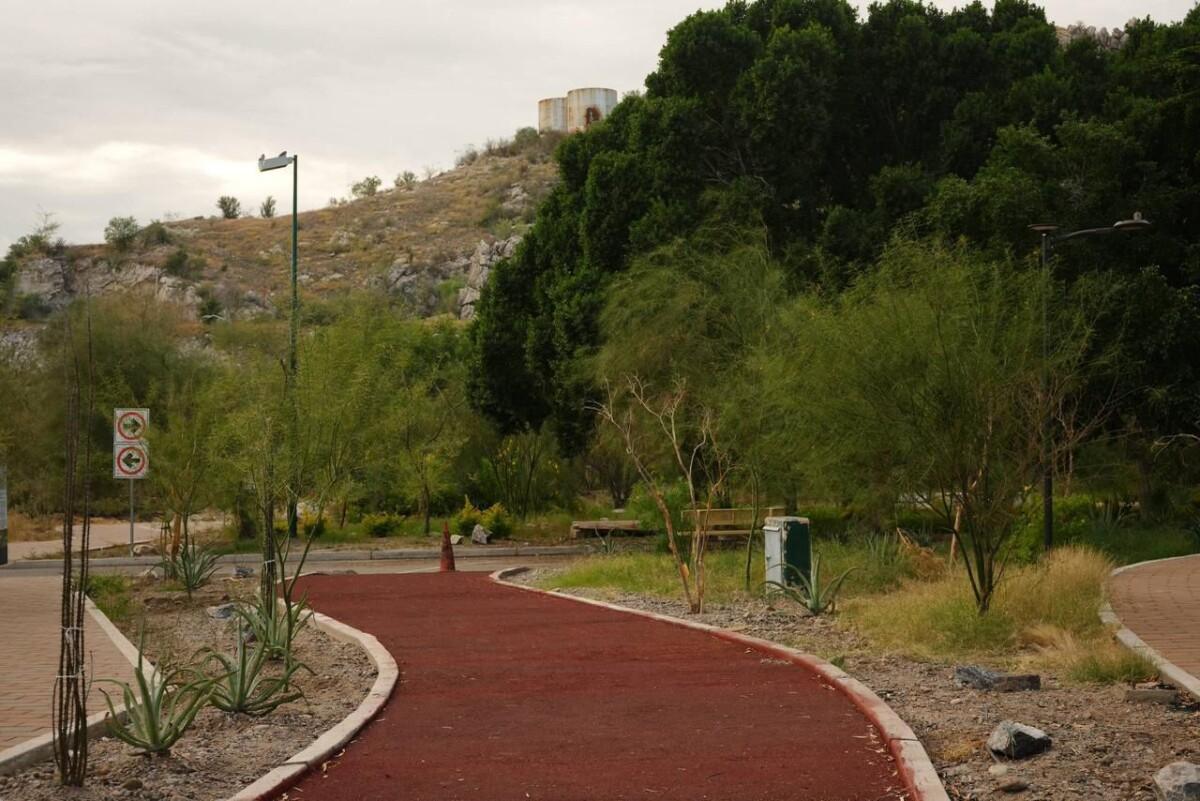 Avanza en la transformación histórica del Bosque Urbano La Sauceda y el Cerro de la Cementera